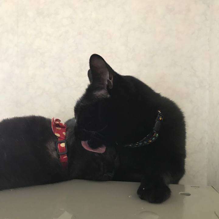 598e1ff3 e351 485b 9989 ee419f4fb5c1