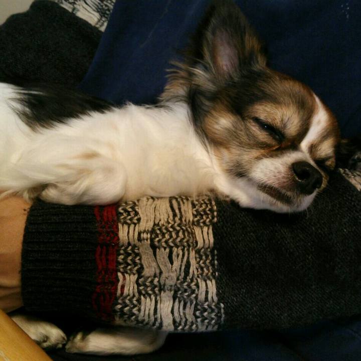 598e2c05 5f5d 4af2 a878 d136f04920bb