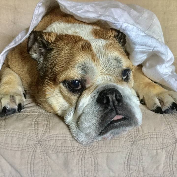 598f768b 4b00 47c4 9dcf eee73f1371b0