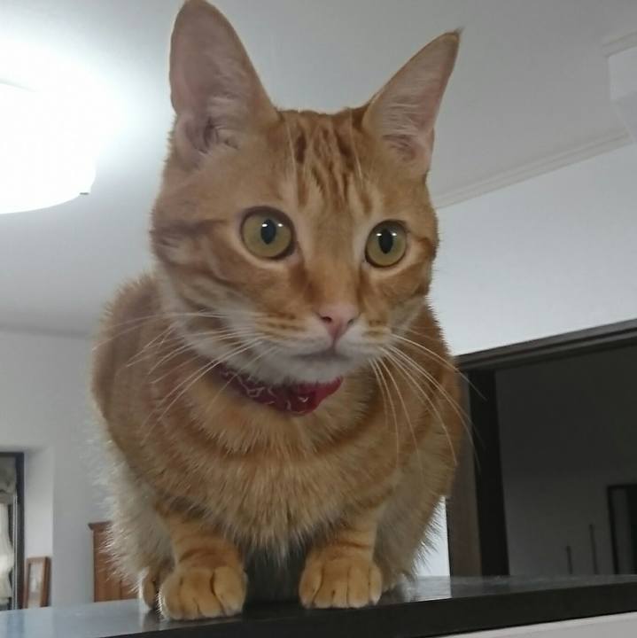 598fb6bf 9ce3 4180 9893 0f8c9145737a