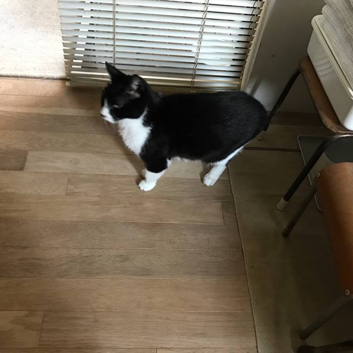 598fbeba 7422 4d5d a148 c84fe8b80bd4