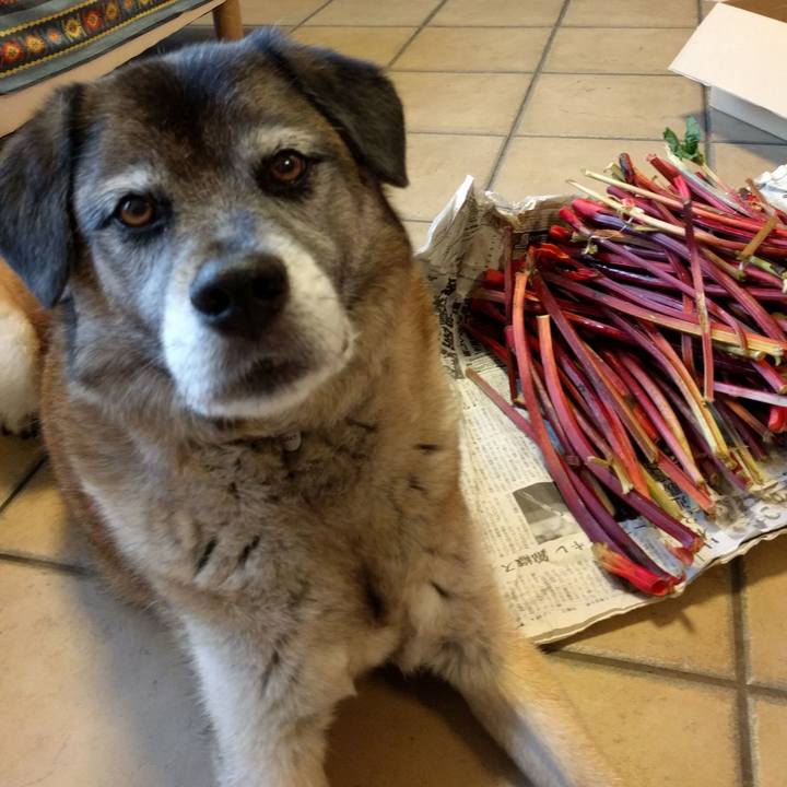 598fe43a 1429 43b1 8151 00cbe152379c