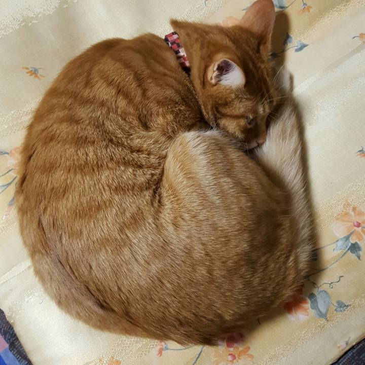 599062e2 6a74 4183 bc5a 9c4c53f84ced