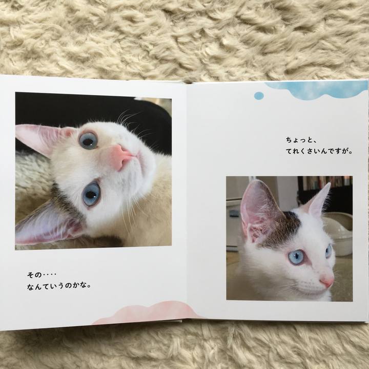 59907540 d04d 4b8e 8d23 df3dfe698fd0