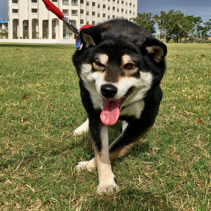 59909130 079d 4a2f b55b 1d4c60b4deb6