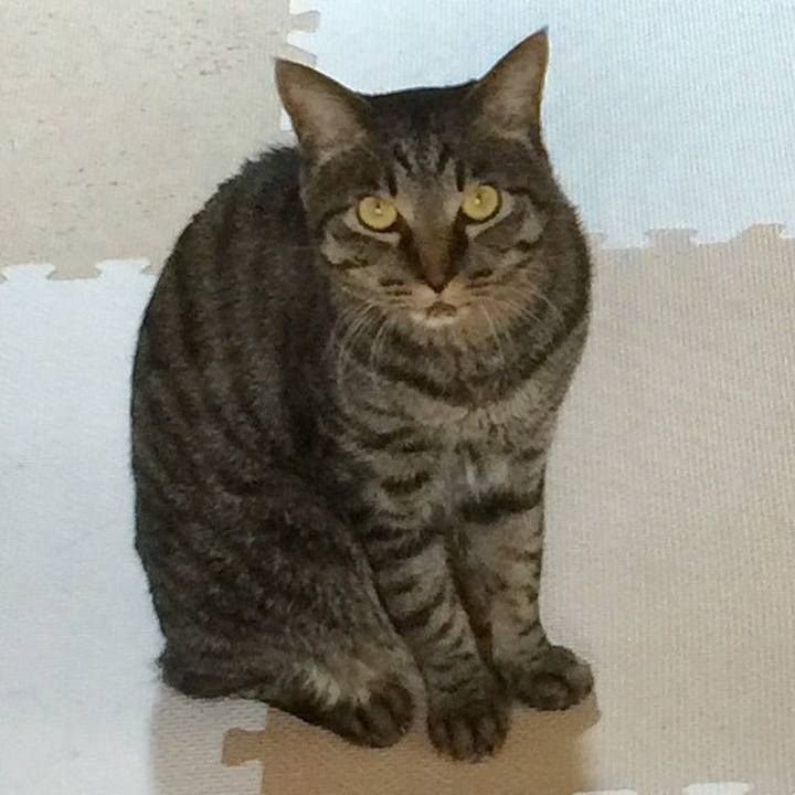 5990a071 65eb 40da 945f 735750acaf8d