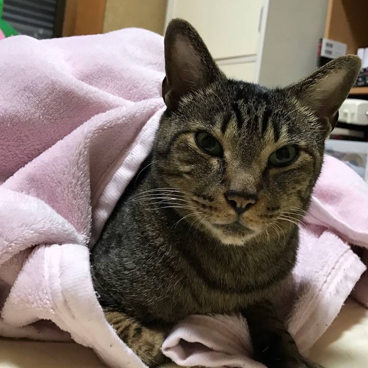 5990cabc d0af 45dc b804 cf93dfd4e41e