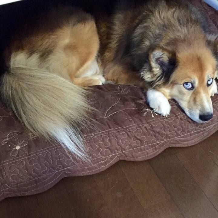 5991d153 e4e9 44a9 9334 ac18dde82590