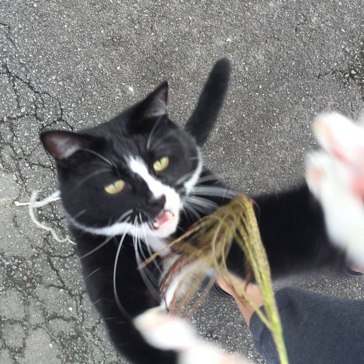 599235ee 3ac4 4771 a1f3 a2c1621973da