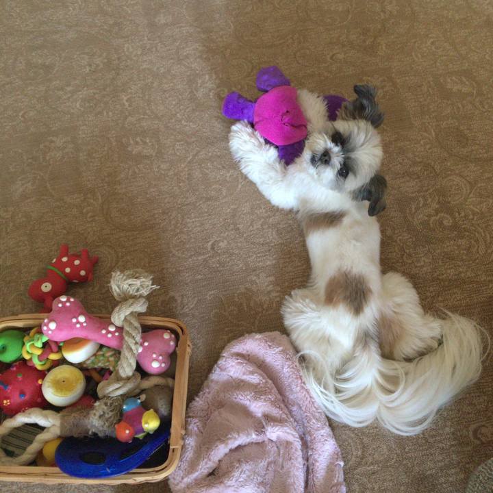 5992c90e 4ac1 4b04 9166 136347c84d57