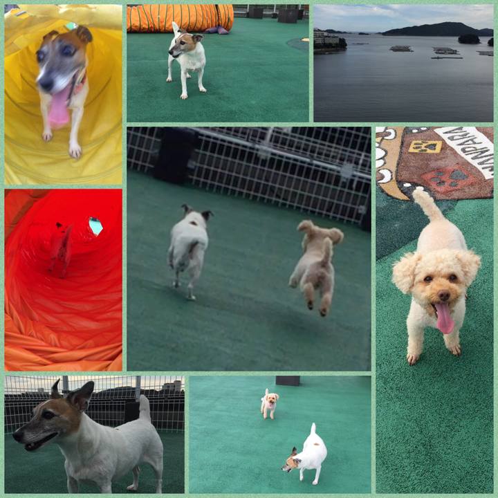 5992d6fb 71dd 41ab a7ad e7327e68074f