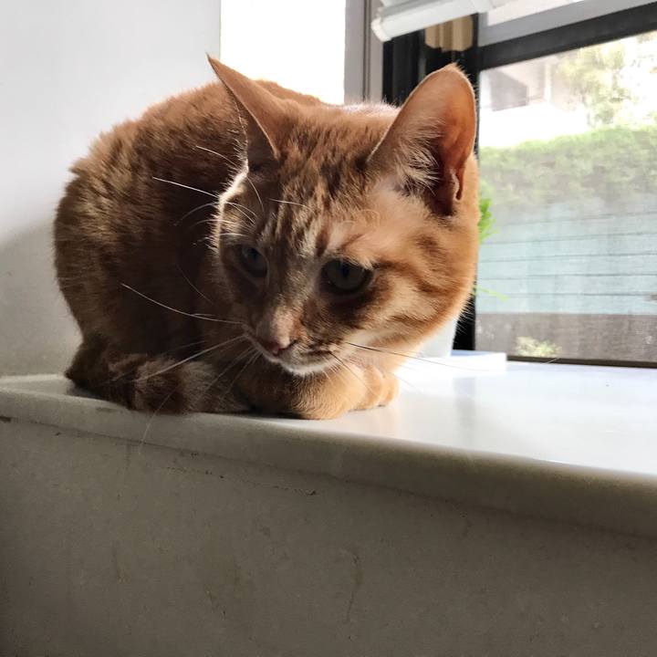 59932184 6031 45ba 811f f936d31564d6