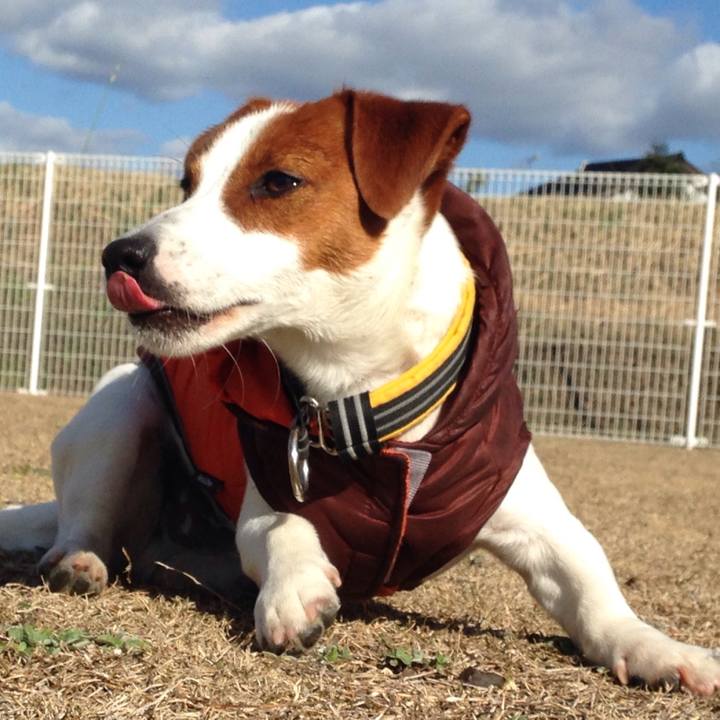 599376dc 5466 466f abb4 e97bed8ecc1d