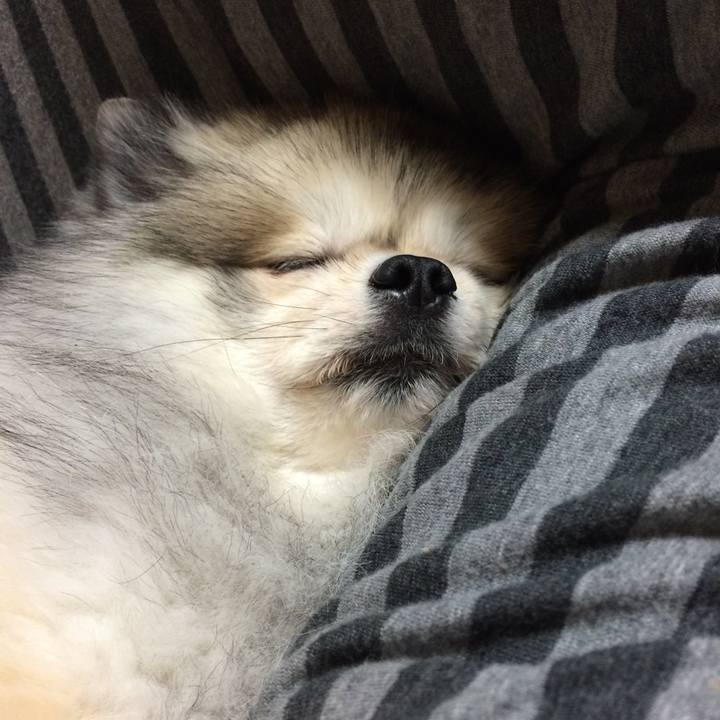 5993b39b 4374 41eb bd88 d61b35bbcd0d