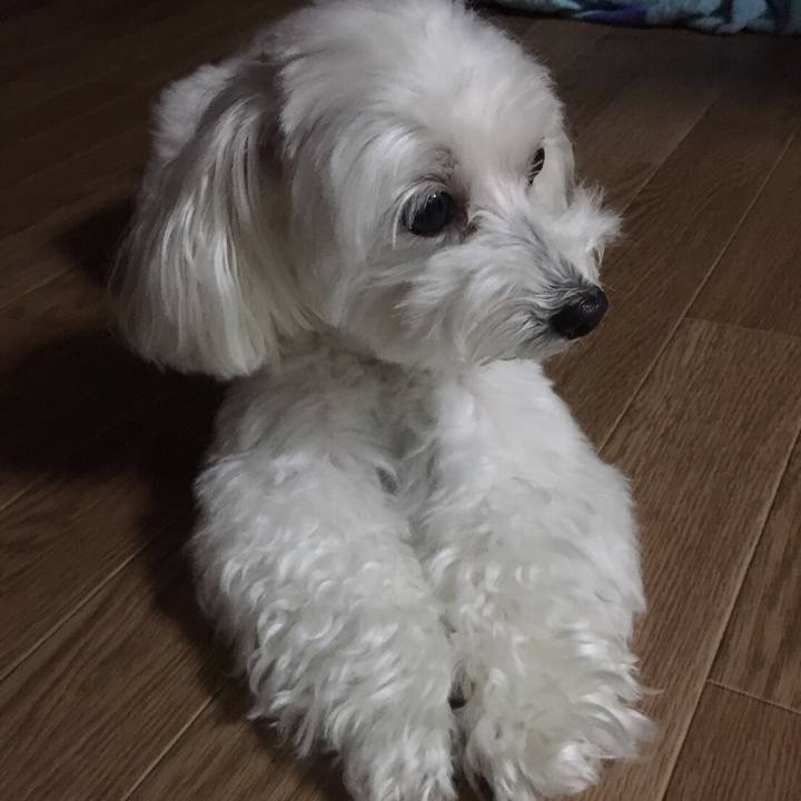 5994607e c630 4db8 81bb a05d999255fc