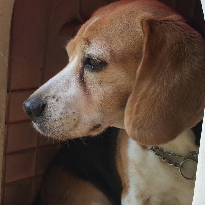 599464a7 6a47 4adb 892c 86afa2f38f09