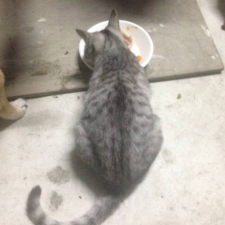 59964d06 4f07 4d37 907b 60e99fa37202