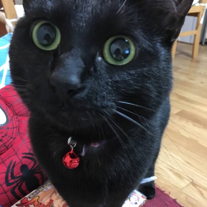 59967bd6 5f2d 4fbf 94b2 9b7735e06cf3