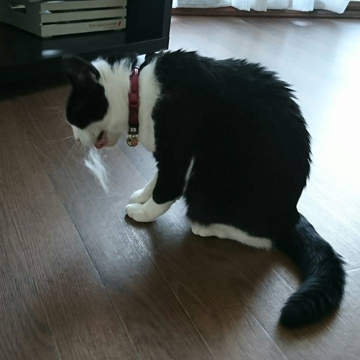 5996e038 631d 481f a4a6 27b171854cd3