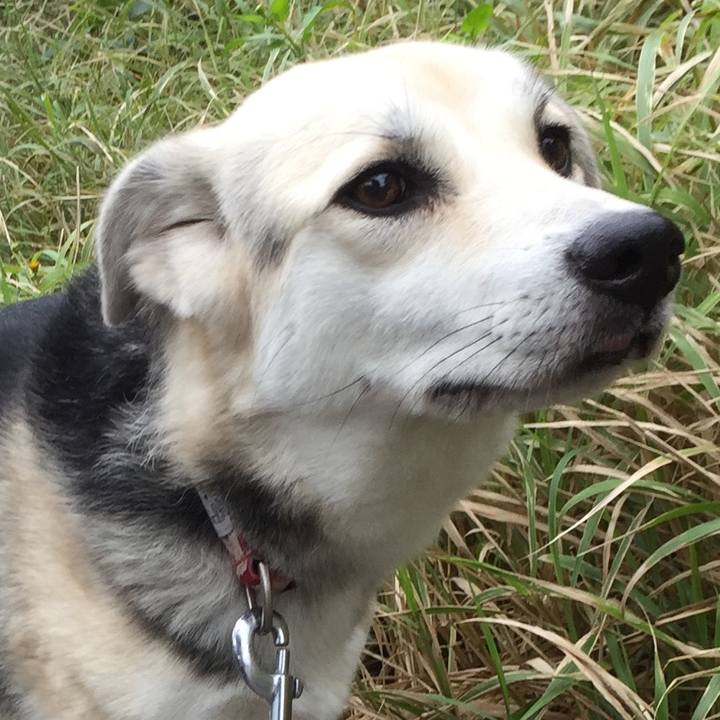 5996eff9 476f 4188 ad02 906216424171