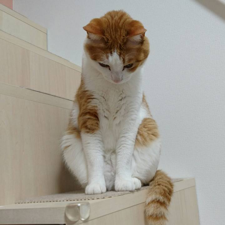 5996f2cf 29b7 46a1 9613 1fc0ca09b4d5