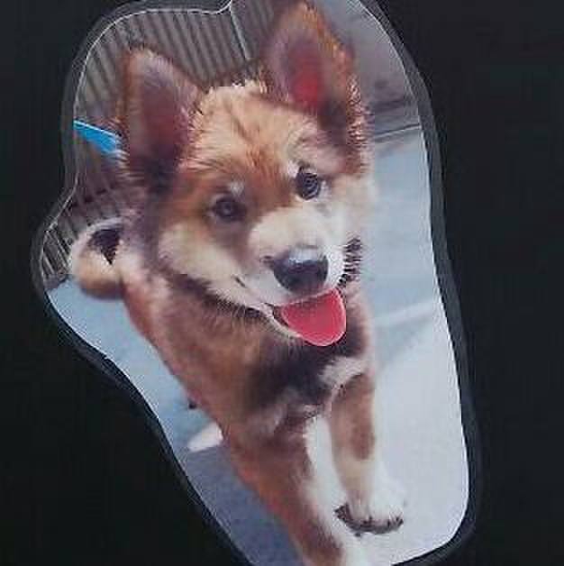 599757a5 3ba7 44a4 8859 6f9a9ef7934c