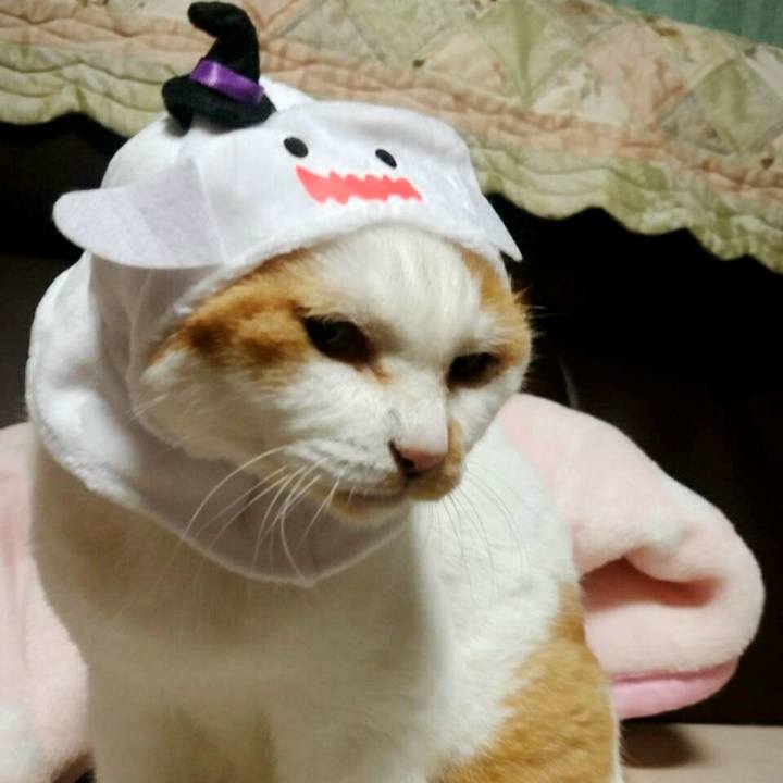 5997667a a0b0 4538 aa0b f3582693fcea