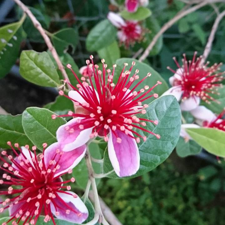 59980060 5797 40ee ad48 910c74767ee2