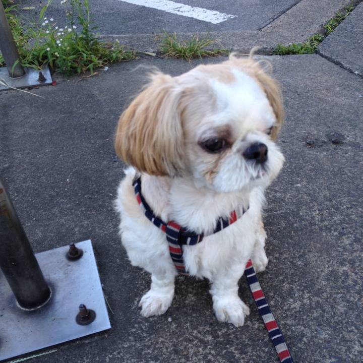 59982b4f d576 440c 90e0 11c418e3b478