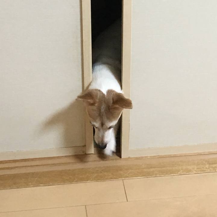 5998c66a 7126 4b0c b119 607adaac5642