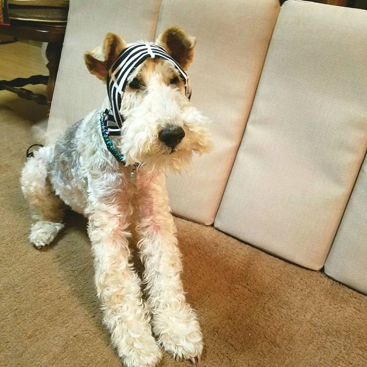 5998c883 9b2e 4b1d bd78 a94170fb5e79