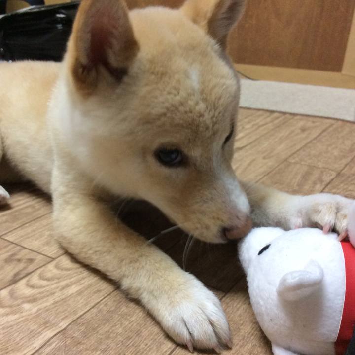 5998dd7d 5c4d 4c60 a67d 71ec1e7b2b25