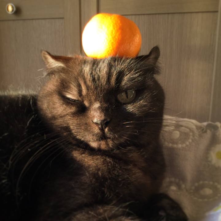 5998ee52 6aa1 48bc b472 1764bd9f9cb9