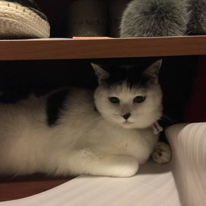 599956e3 8820 4c50 af32 f277d69a7d88