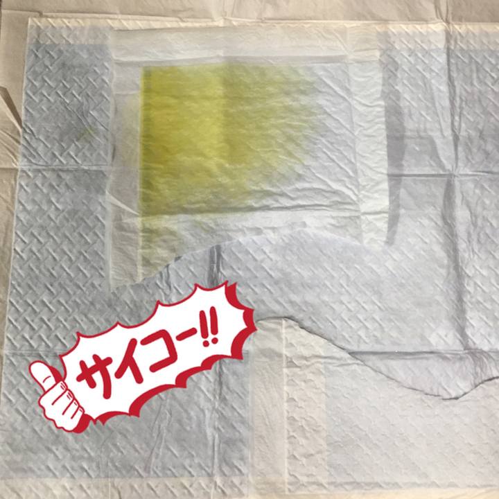 59999357 6544 4e8b 9c22 206990a269f7