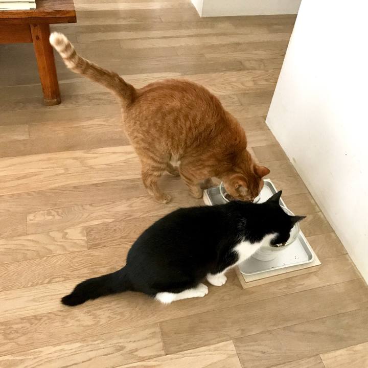 5999cdd6 63eb 4ef6 b6f6 27f7268da384