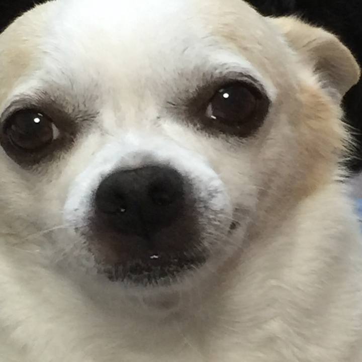 599a1a39 1f97 4219 9dff e42686770144