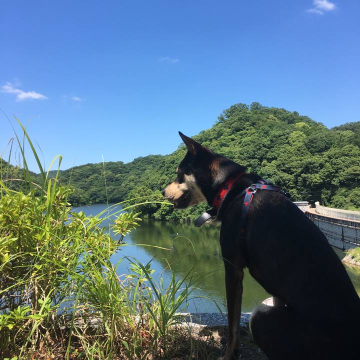 599a7e4f 4d0a 4840 b0ae ce0c49462c18