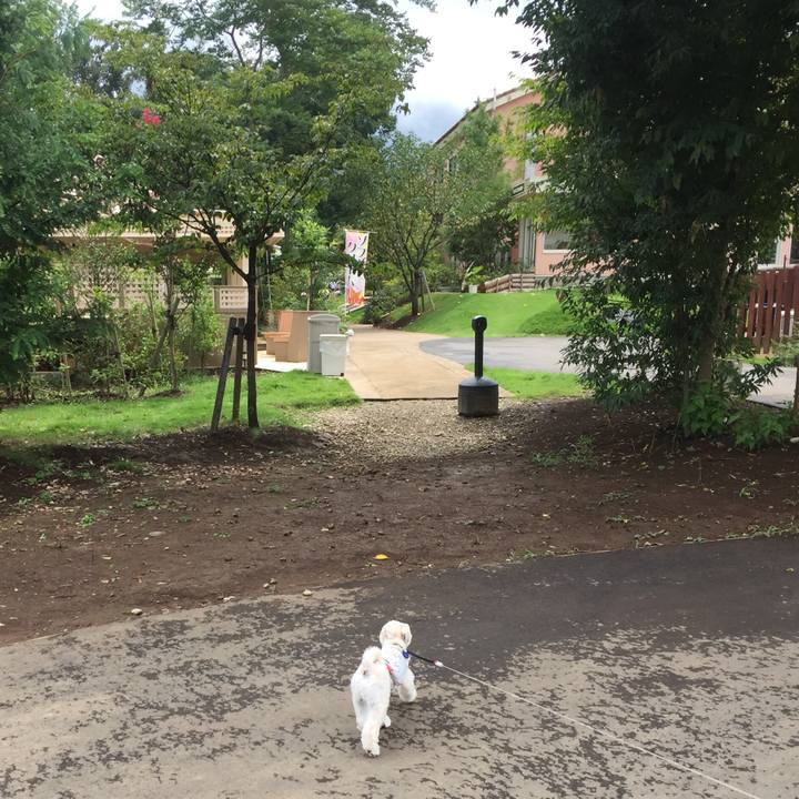 599af0ac 4477 41ed 970a 4b28174dcd58