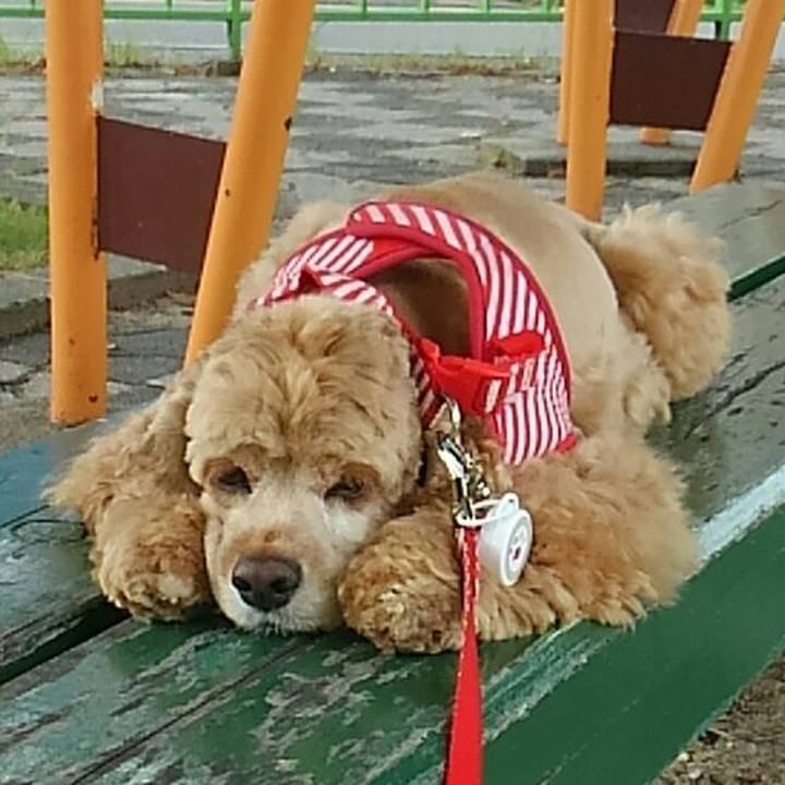 599b1fcc 4816 4e21 a1b8 cd3df433d103