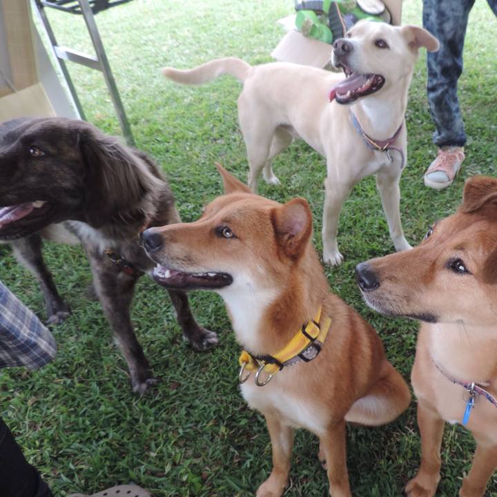 599b60db ff6f 4d7a 8093 6fe974b20964