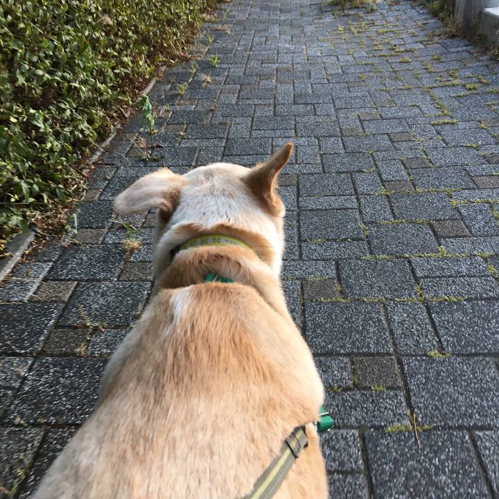 599bd6d5 f57a 4796 a0d7 1e3a1c42e00a