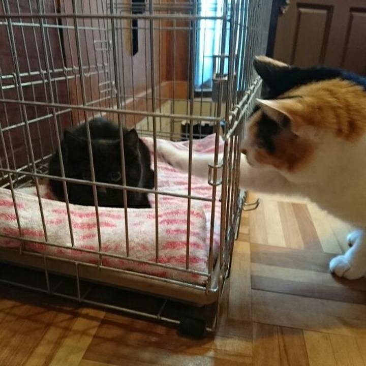 599c11ab f58b 4572 87a7 ab75df368737