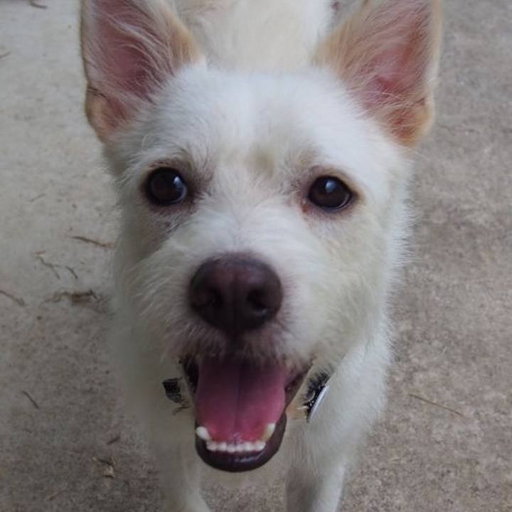 599d116a f85f 4f40 ba21 95a0ad492195