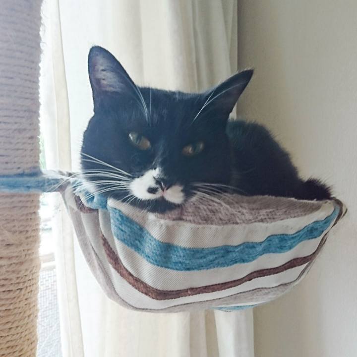 599e3b2b ae36 454c b2fb 751ba048b755