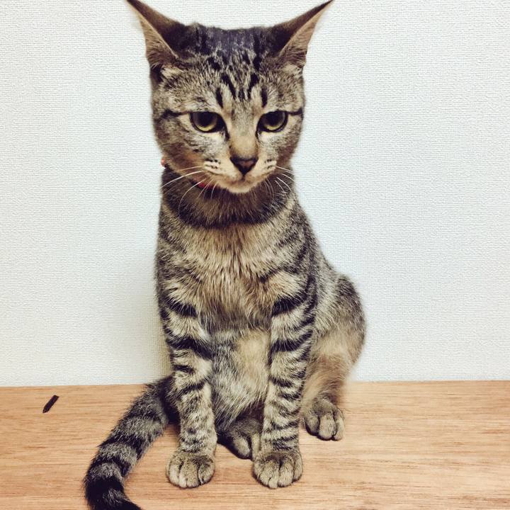 599e4073 1c63 46cd 87b5 05f13cdf5a33