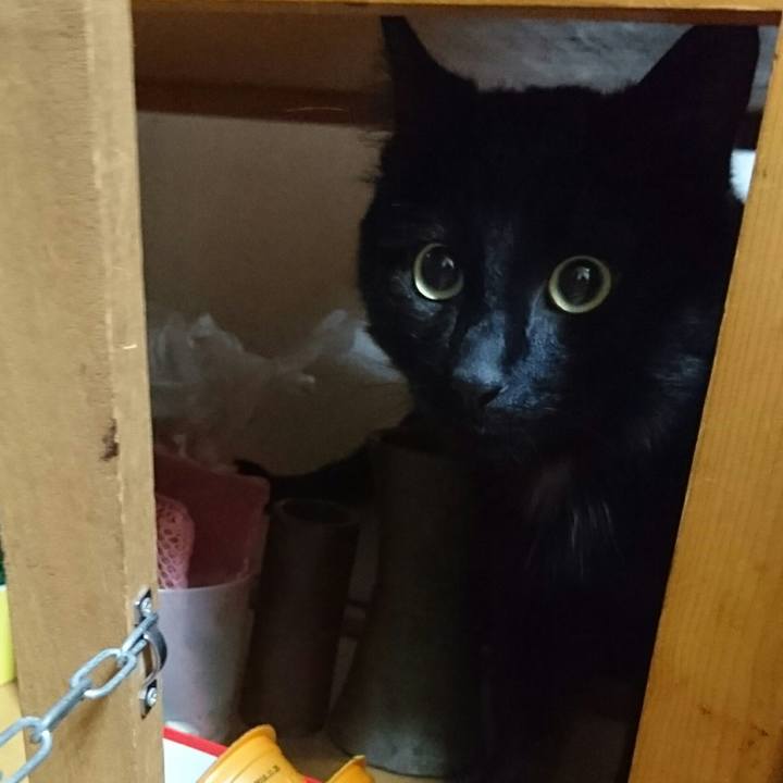 599eac6b cef5 4b32 8b19 175e8dd50325