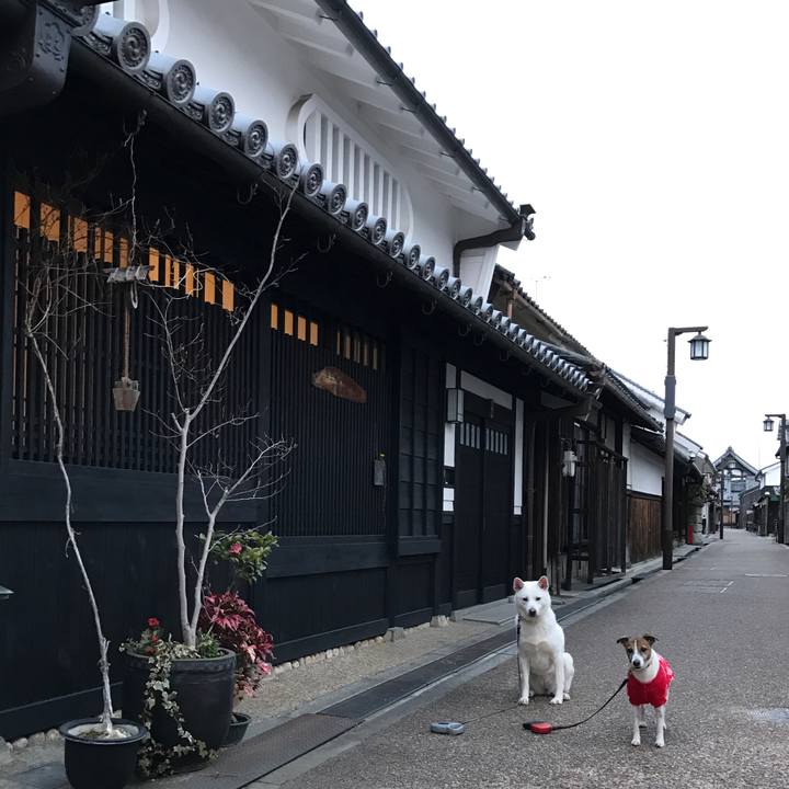 599eb047 8c56 4d13 8c5a 1e73cc71eb4d