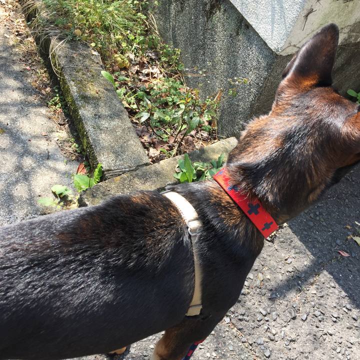 599f27c5 0b02 4e5a addd ee162d4c61d3