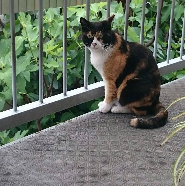 599f2ce8 30c5 4598 bbe0 9eefabd27161